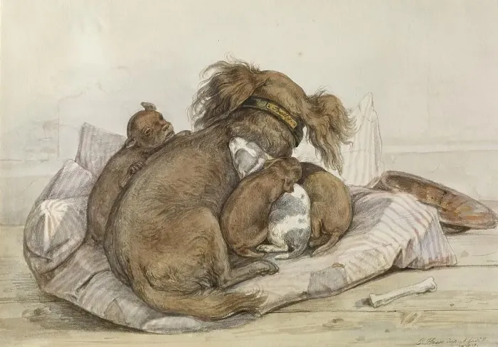 Framed Print : Spaniel With Puppies, 1840. Creator: Ernst Hasse Framed Print : Spaniel With Puppies, 1840. Creator: Ernst Hasse