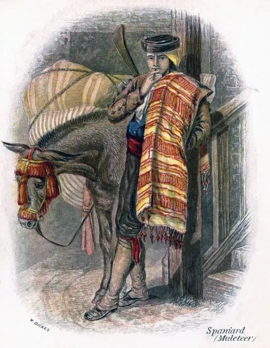 Framed Print : Spanish Muleteer, 1809. Artist: W Dickes Framed Print : Spanish Muleteer, 1809. Artist: W Dickes