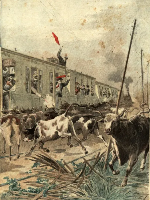 Framed Print : Spanish passenger train was, attacked by a herd of bulls in the province of Salamanca Framed Print : Spanish passenger train was, attacked by a herd of bulls in the province of Salamanca