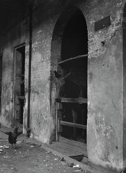 Spanish Stables, New Orleans, between 1920 and 1926. Creator: Arnold Genthe
