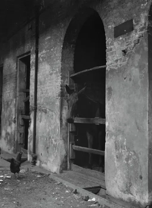 Framed Print : Spanish Stables, New Orleans, between 1920 and 1926. Creator: Arnold Genthe
