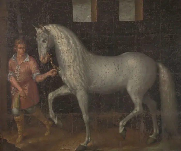 Framed Print : Spanish Warhorse, 1603. Creator: Jacques de Gheyn II Framed Print : Spanish Warhorse, 1603. Creator: Jacques de Gheyn II