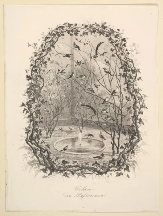Framed Print : The Sparrow Aviary, 1843. Creator: Charles Francois Daubigny Framed Print : The Sparrow Aviary, 1843. Creator: Charles Francois Daubigny