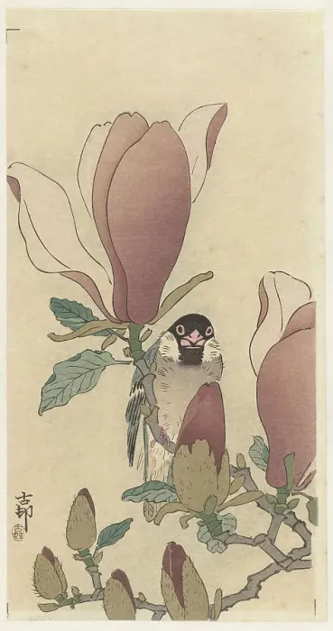 Framed Print : Sparrow on blooming magnolia branch. Creator: Ohara, Koson (1877-1945) Framed Print : Sparrow on blooming magnolia branch. Creator: Ohara, Koson (1877-1945)
