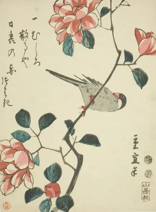 Framed Print : Sparrow on camellia branch, c. 1847 / 52. Creator: Utagawa Hiroshige II Framed Print : Sparrow on camellia branch, c. 1847 / 52. Creator: Utagawa Hiroshige II