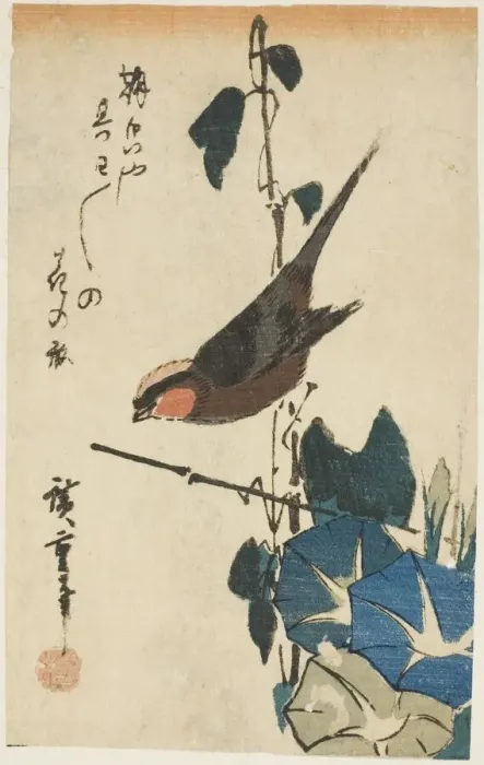 Framed Print : Sparrow and morning glories, n. d. Creator: Ando Hiroshige Framed Print : Sparrow and morning glories, n. d. Creator: Ando Hiroshige