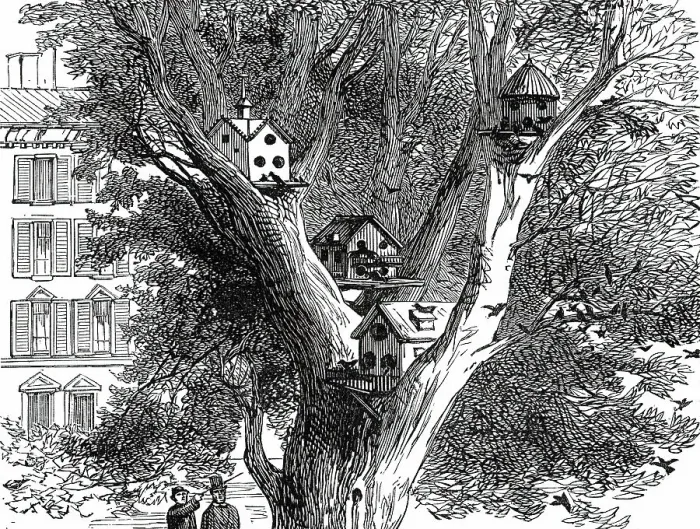 Framed Print : Sparrow-Nests in Philadelphia, 1876. Creator: Unknown Framed Print : Sparrow-Nests in Philadelphia, 1876. Creator: Unknown
