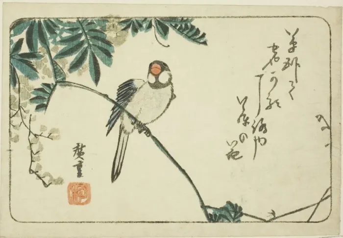 Framed Print : Sparrow and wisteria, n. d. Creator: Ando Hiroshige Framed Print : Sparrow and wisteria, n. d. Creator: Ando Hiroshige