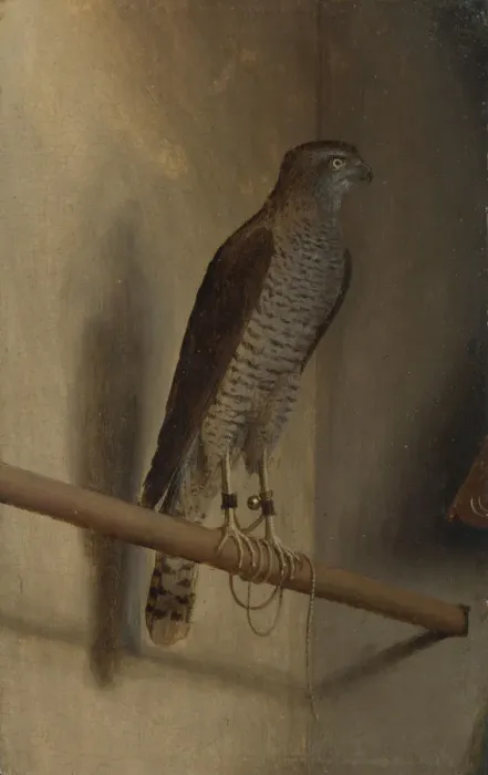Framed Print : A Sparrowhawk, 1510s. Artist: De Barbari, Jacopo (c. 1445-c. 1516) Framed Print : A Sparrowhawk, 1510s. Artist: De Barbari, Jacopo (c. 1445-c. 1516)