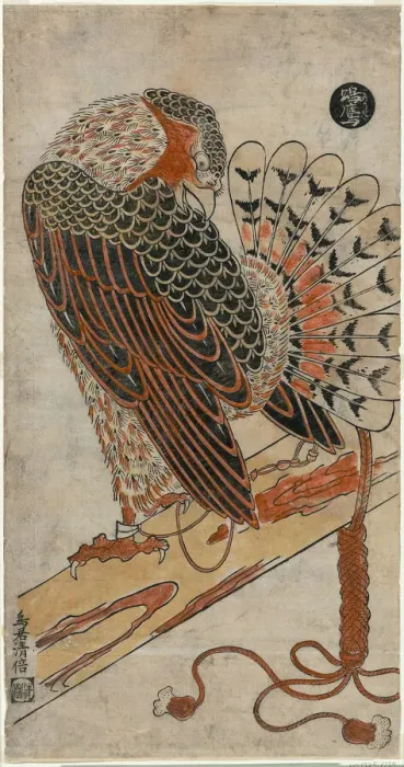 Framed Print : Sparrowhawk (Konori taka), c. 1716. Creator: Torii Kiyomasu I Framed Print : Sparrowhawk (Konori taka), c. 1716. Creator: Torii Kiyomasu I