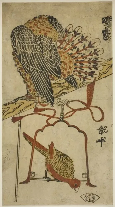 Framed Print : Sparrowhawk and Macaw (Konori taka, inko), c. 1718. Creator: Torii Kiyomasu I Framed Print : Sparrowhawk and Macaw (Konori taka, inko), c. 1718. Creator: Torii Kiyomasu I