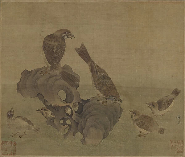 Sparrows feeding their young, Ming or Qing dynasty, (17th century?). Creator: Unknown