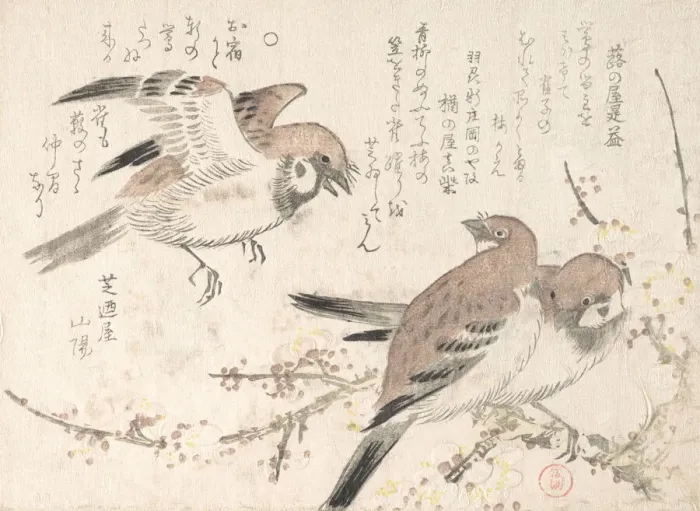 Framed Print : Sparrows and Plum Blossoms, 19th century. Creator: Kubo Shunman Framed Print : Sparrows and Plum Blossoms, 19th century. Creator: Kubo Shunman