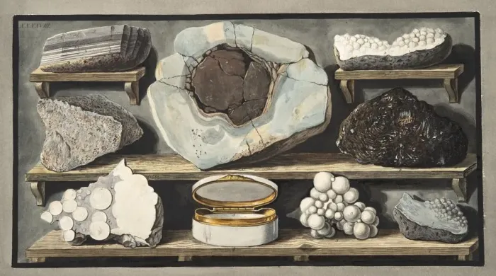 Framed Print : Specimens of curious stones found by the Author on Mount Vesuvius, 1776 Framed Print : Specimens of curious stones found by the Author on Mount Vesuvius, 1776