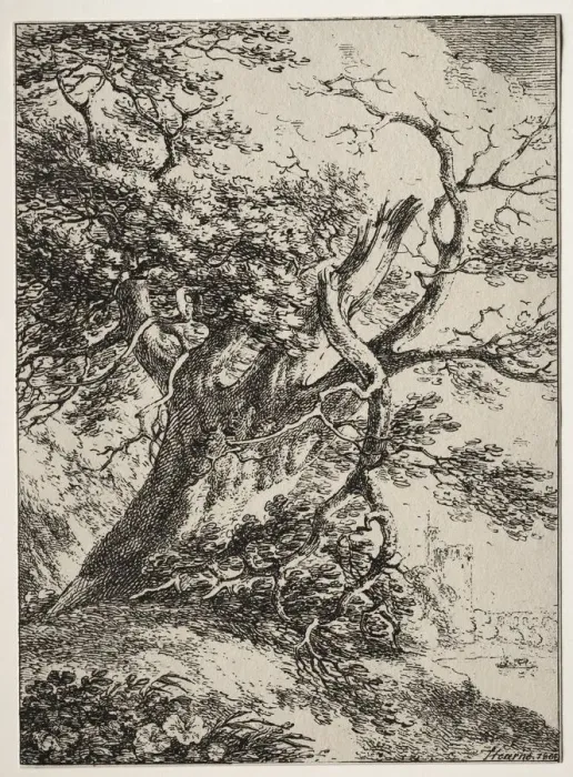 Framed Print : Specimens of Polyautography: Landscape with an Oak Tree, 1803. Creator: Thomas Hearne (British Framed Print : Specimens of Polyautography: Landscape with an Oak Tree, 1803. Creator: Thomas Hearne (British