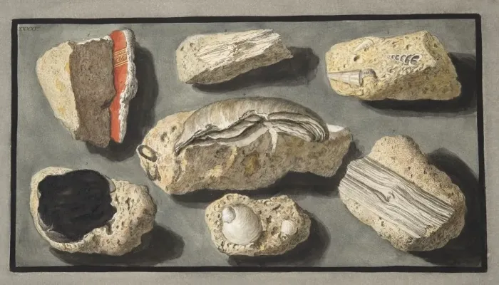 Framed Print : Specimens of Tufa found in and around Herculaneum, 1776 Framed Print : Specimens of Tufa found in and around Herculaneum, 1776