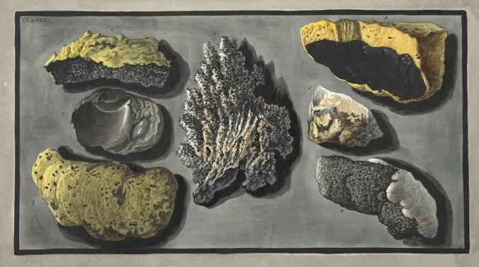 Framed Print : Specimens of volcanic matter found in the crater of Vesuvius, 1776 Framed Print : Specimens of volcanic matter found in the crater of Vesuvius, 1776