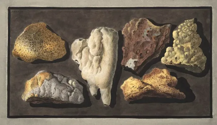 Framed Print : Specimens of volcanic matter taken from the inside of the crater of Vesuvius, 1776 Framed Print : Specimens of volcanic matter taken from the inside of the crater of Vesuvius, 1776