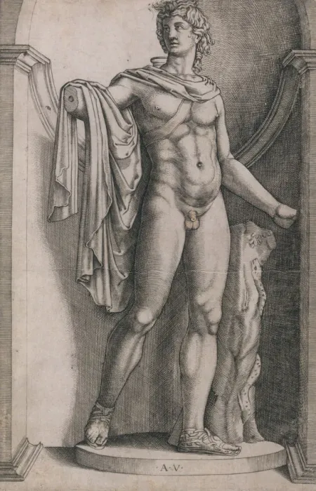 Framed Print : Speculum Romanae Magnificentiae: Apollo Belvedere, ca. 1514-36. ca. 1514-36