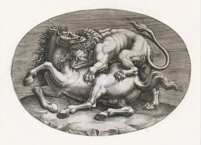 Framed Print : Speculum Romanae Magnificentiae: Lion Attacking a Horse, c1540-80 Framed Print : Speculum Romanae Magnificentiae: Lion Attacking a Horse, c1540-80