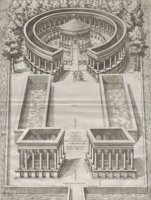 Framed Print : Speculum Romanae Magnificentiae: Ornithon Sive Aviarium, 1558. 1558. Creator: Anon Framed Print : Speculum Romanae Magnificentiae: Ornithon Sive Aviarium, 1558. 1558. Creator: Anon