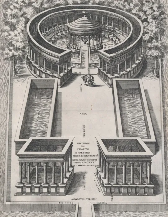 Framed Print : Speculum Romanae Magnificentiae: Ornithon Sive Aviarum, 1581. 1581 Framed Print : Speculum Romanae Magnificentiae: Ornithon Sive Aviarum, 1581. 1581