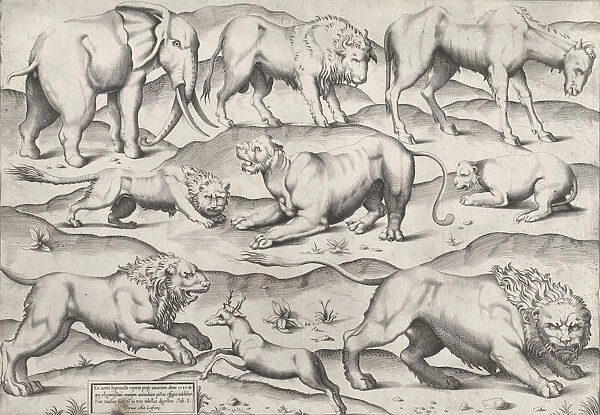Speculum Romanae Magnificentiae: Wild Animals, from antique wall paintings, plate 1, 1547