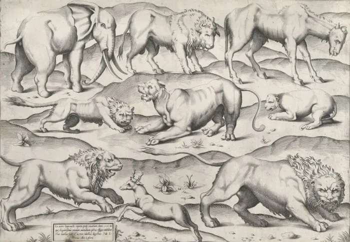Framed Print : Speculum Romanae Magnificentiae: Wild Animals, from antique wall paintings, plate 1, 1547 Framed Print : Speculum Romanae Magnificentiae: Wild Animals, from antique wall paintings, plate 1, 1547