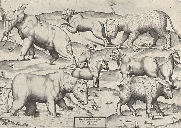 Speculum Romanae Magnificentiae: Wild Animals, from antique wall paintings, plate 2, 1547