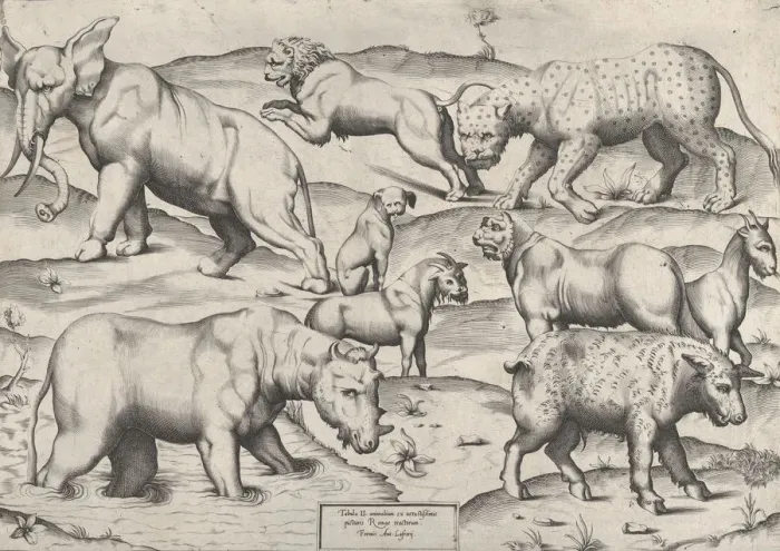 Framed Print : Speculum Romanae Magnificentiae: Wild Animals, from antique wall paintings, plate 2, 1547 Framed Print : Speculum Romanae Magnificentiae: Wild Animals, from antique wall paintings, plate 2, 1547