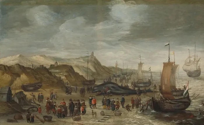 Framed Print : A Sperm Whale Washed up on the Beach at Noordwijk, 28 December 1614, 1614-1626. Creator: Hans Saveryy Framed Print : A Sperm Whale Washed up on the Beach at Noordwijk, 28 December 1614, 1614-1626. Creator: Hans Saveryy
