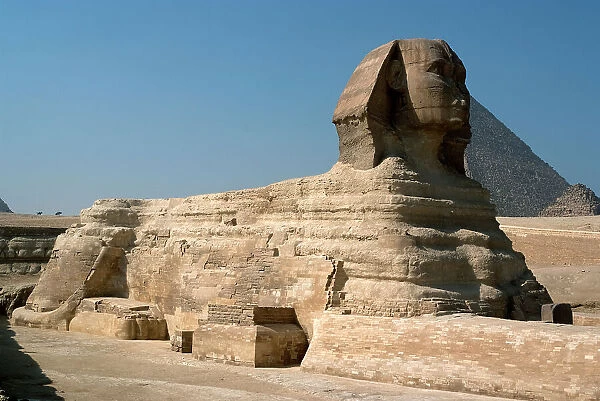 Sphinx, Giza, Egypt, 2007. Creator: Ethel Davies