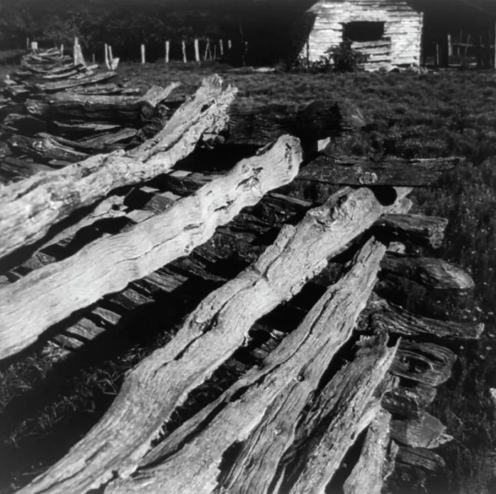 Framed Print : Split-log fence, North central Arkansas, along U.S. 62, 1938. Creator: Dorothea Lange Framed Print : Split-log fence, North central Arkansas, along U.S. 62, 1938. Creator: Dorothea Lange