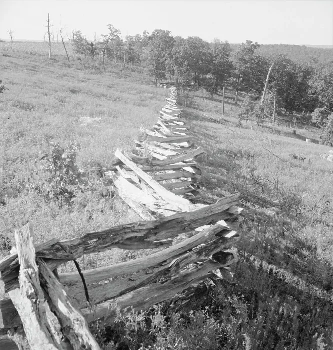 Framed Print : Split-log fence, North central Arkansas, along U.S. 62, 1938. Creator: Dorothea Lange Framed Print : Split-log fence, North central Arkansas, along U.S. 62, 1938. Creator: Dorothea Lange