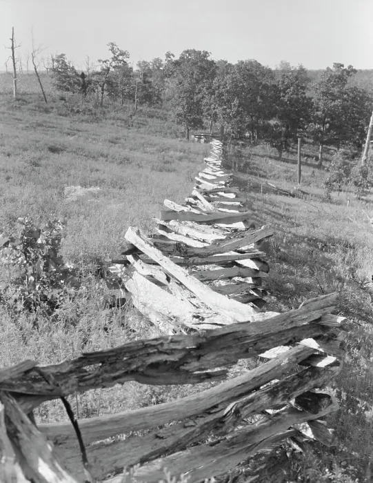 Framed Print : Split-log fence, north central Arkansas, along U.S. 62, 1938. Creator: Dorothea Lange Framed Print : Split-log fence, north central Arkansas, along U.S. 62, 1938. Creator: Dorothea Lange