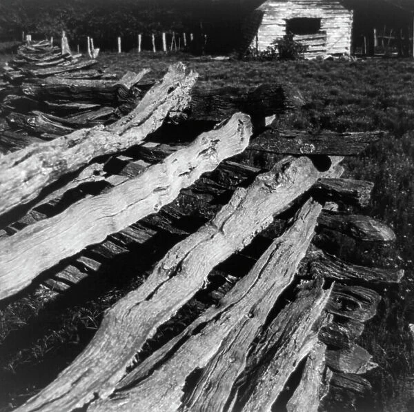 Split-log fence, North central Arkansas, along U.S. 62, 1938. Creator: Dorothea Lange