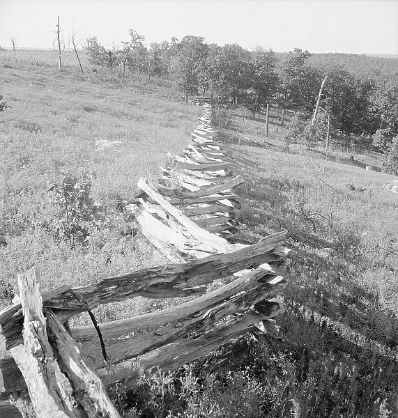 Split-log fence, North central Arkansas, along U.S. 62, 1938. Creator: Dorothea Lange