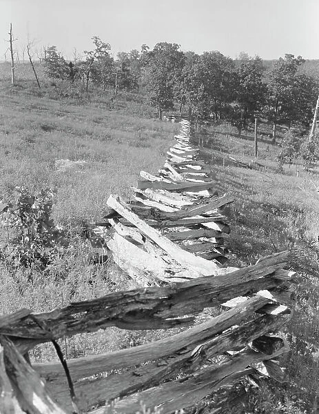 Split-log fence, north central Arkansas, along U.S. 62, 1938. Creator: Dorothea Lange