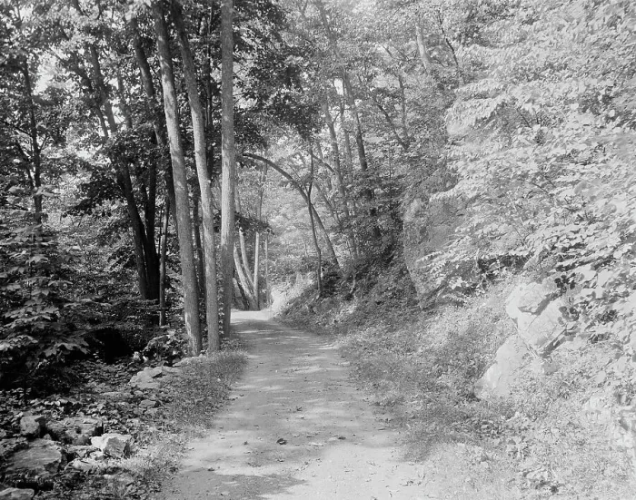 Framed Print : Split Rock Road, Ethan Allen Park, Burlington, Vt. c.between 1910 and 1920. Creator: Unknown Framed Print : Split Rock Road, Ethan Allen Park, Burlington, Vt. c.between 1910 and 1920. Creator: Unknown