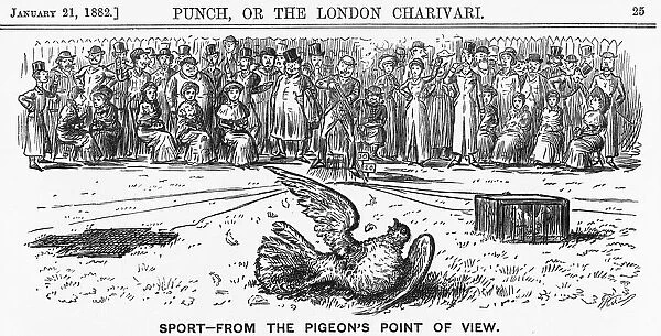 Sport from the Pigeons Point of View, 1882