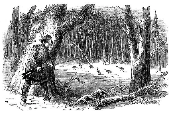 Sporting Scenes in Canada - Wild Turkey Shooting, 1858. Creator: Unknown