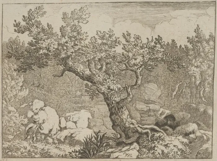 Framed Print : The Sportsman near the Large Tree, 17th century. Creator: Allart van Everdingen Framed Print : The Sportsman near the Large Tree, 17th century. Creator: Allart van Everdingen