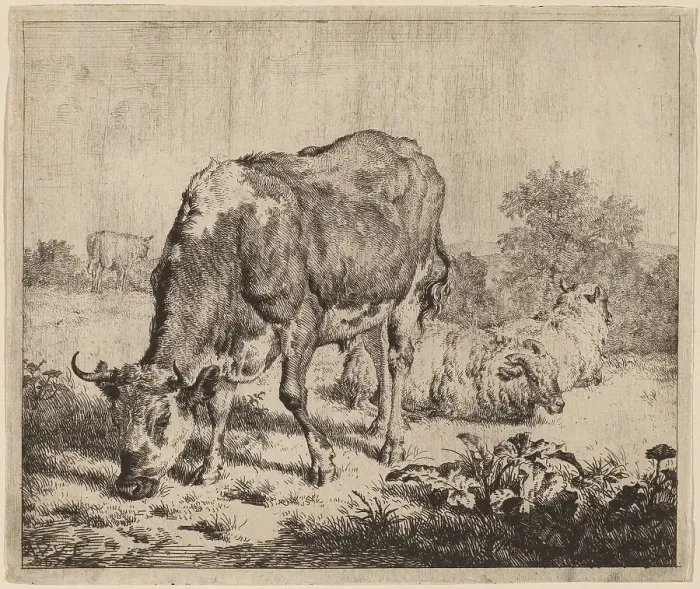 Framed Print : Spotted Bull and Three Sheep, 1670. Creator: Adriaen van de Velde Framed Print : Spotted Bull and Three Sheep, 1670. Creator: Adriaen van de Velde