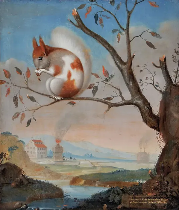Framed Print : Spotted squirrel at Hogbo mill, 1734. Creator: J.A. Weise Framed Print : Spotted squirrel at Hogbo mill, 1734. Creator: J.A. Weise