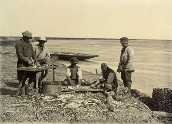 Framed Print : Spreading of fish, 1909. Creator: Nikolai Georgievich Katanaev Framed Print : Spreading of fish, 1909. Creator: Nikolai Georgievich Katanaev