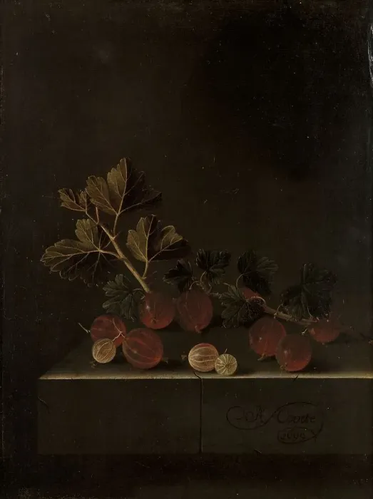 Framed Print : A Sprig of Gooseberries on a Stone Plinth, 1699. Creator: Adriaen Coorte Framed Print : A Sprig of Gooseberries on a Stone Plinth, 1699. Creator: Adriaen Coorte