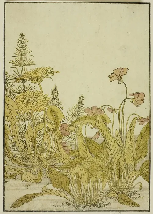 Framed Print : Spring Flowers: Violets and Dandelions, from the book Mirror of Beautiful Women of the... 1776. Creator: Shunsho. Spring Flowers: Violets and Dandelions, from the book Mirror of Beautiful Women of the... 1776. Creator: Shunsho Framed Print : Spring Flowers: Violets and Dandelions, from the book Mirror of Beautiful Women of the... 1776. Creator: Shunsho. Spring Flowers: Violets and Dandelions, from the book Mirror of Beautiful Women of the... 1776. Creator: Shunsho