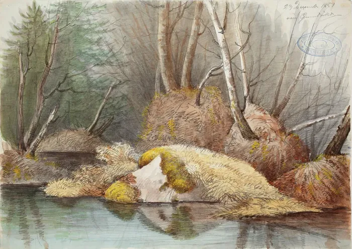 Framed Print : Spring forest interior and flooded bogs, 1851. Creator: Magnus von Wright Framed Print : Spring forest interior and flooded bogs, 1851. Creator: Magnus von Wright