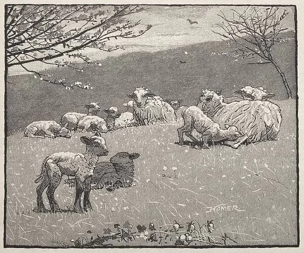 Spring Lamb, 1880. Creator: Winslow Homer (American, 1836-1910)