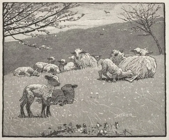 Framed Print : Spring Lamb, 1880. Creator: Winslow Homer (American, 1836-1910) Framed Print : Spring Lamb, 1880. Creator: Winslow Homer (American, 1836-1910)